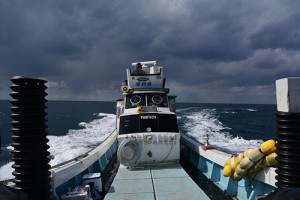 shop_img002