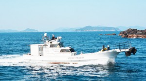 sp_bnr_img001